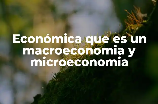 Económica que es un Macroeconomia y Microeconomia