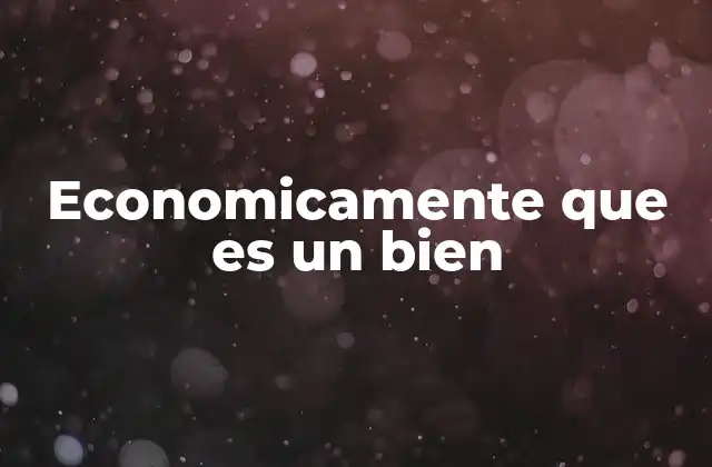Economicamente que es un Bien