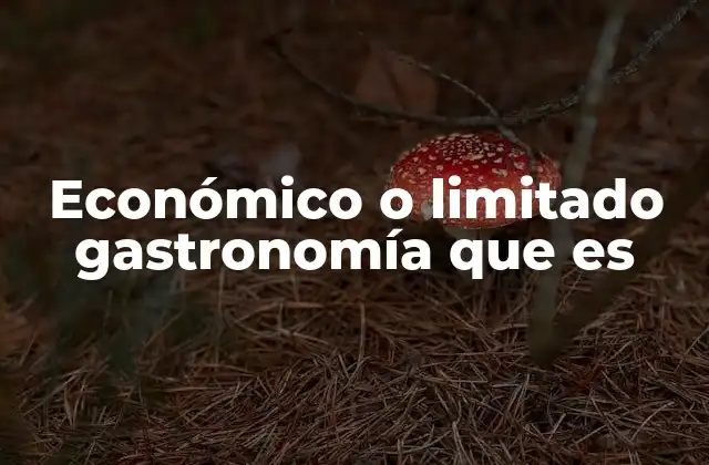 Económico o Limitado Gastronomía que es