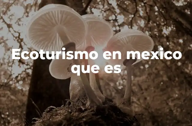 Ecoturismo en Mexico que es 2 La importancia del ecoturismo en el desarrollo sostenible