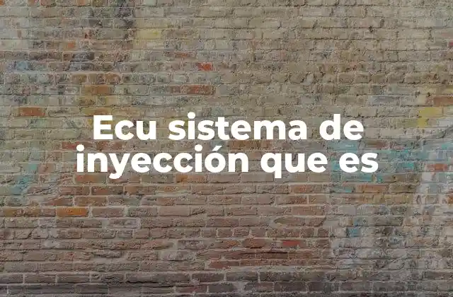 Ecu Sistema de Inyección que es
