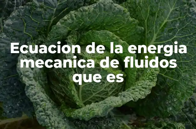 Ecuacion de la Energia Mecanica de Fluidos que es