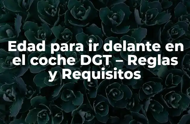 Edad para Ir Delante en el Coche Dgt – Reglas y Requisitos