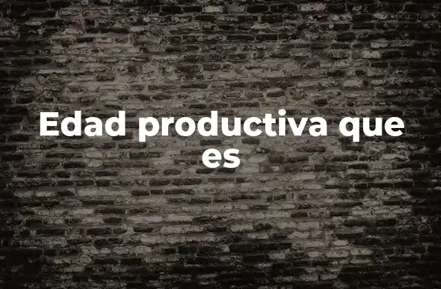 Edad Productiva que es