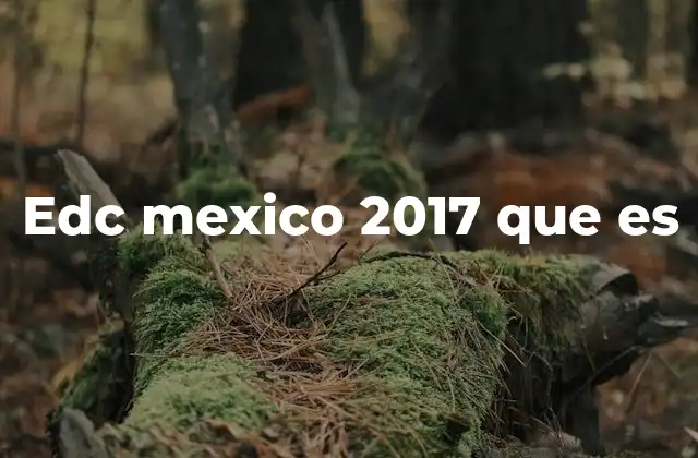 Edc Mexico 2017 que es
