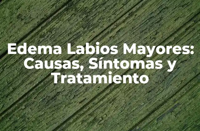 Edema Labios Mayores: Causas, Síntomas y Tratamiento