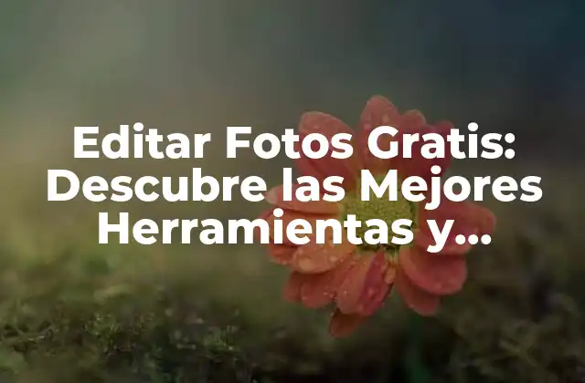 Editar Fotos Gratis: Descubre las Mejores Herramientas y Técnicas