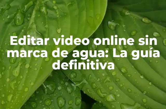 Editar Video Online sin Marca de Agua: la Guía Definitiva 2 ¿Por qué es importante editar video online sin marca de agua?
