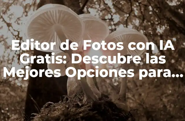 Editor de Fotos con Ia Gratis: Descubre las Mejores Opciones para Editar Tus Fotos de Forma Profesional