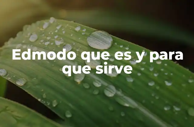 Edmodo que es y para que Sirve