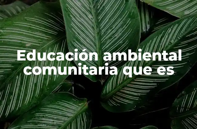 Educación Ambiental Comunitaria que es