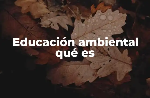 Educación Ambiental Qué es