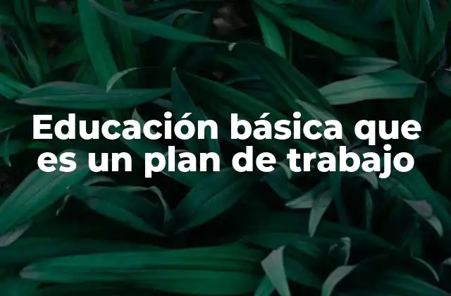 Educación Básica que es un Plan de Trabajo