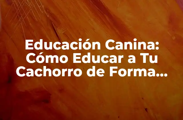 ¿Por qué es Importante la Educación Canina?
