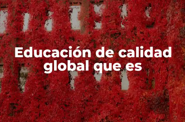 Educación de Calidad Global que es