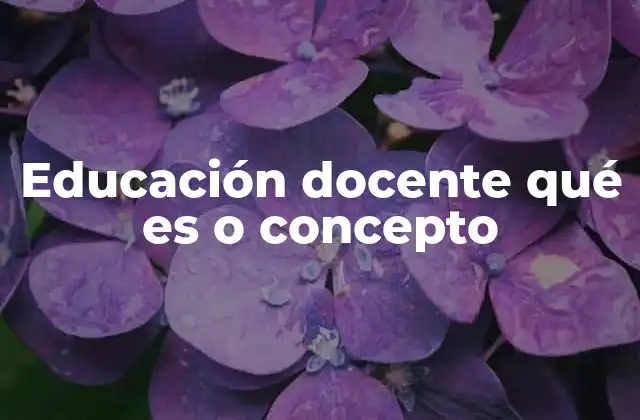 Educación Docente Qué es o Concepto 2 La importancia de la formación de profesores en el sistema educativo