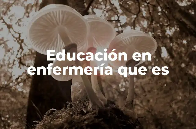 Educación en Enfermería que es