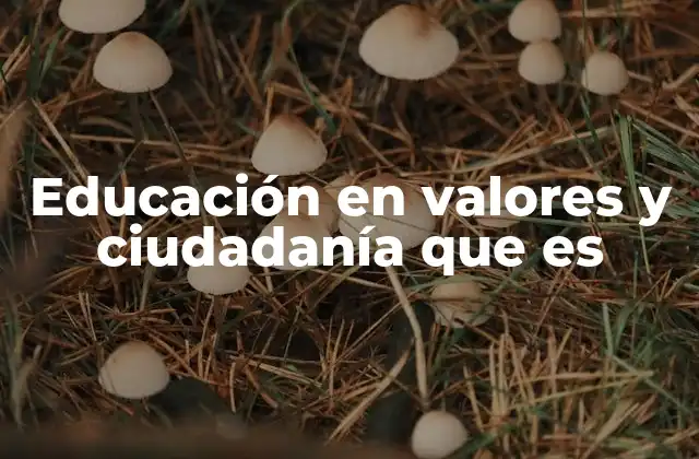 Educación en Valores y Ciudadanía que es