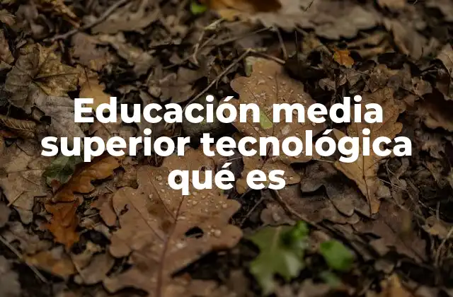 Educación Media Superior Tecnológica Qué es