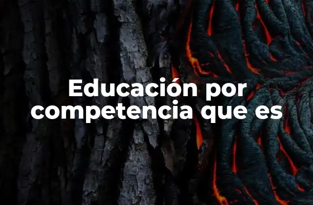 Educación por Competencia que es