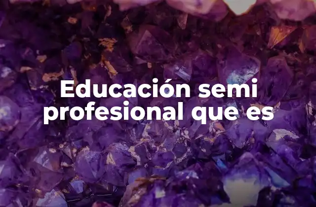 Educación Semi Profesional que es