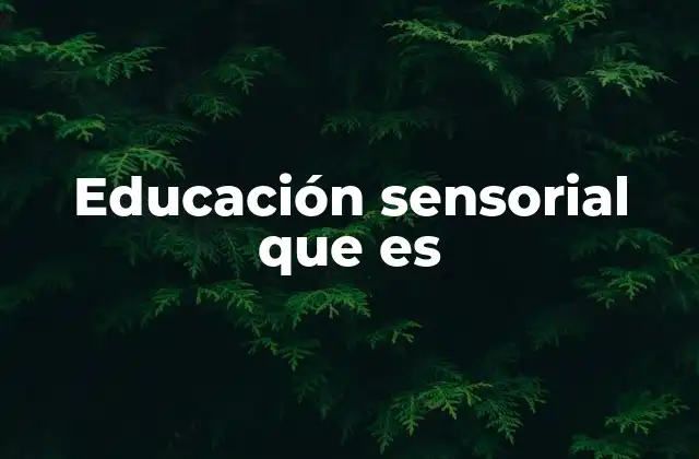 Educación Sensorial que es