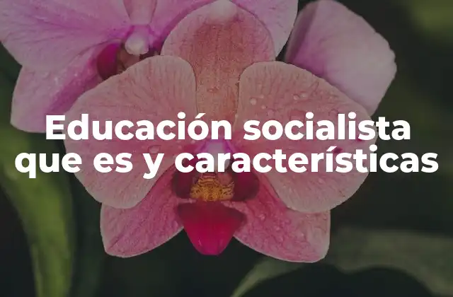El papel de la educación en la construcción de una sociedad igualitaria