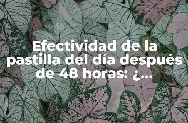 Efectividad de la Pastilla Del Día Después de 48 Horas: ¿ Funciona Todavía?