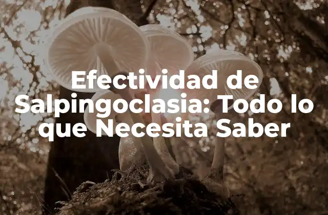 Efectividad de Salpingoclasia: Todo Lo que Necesita Saber