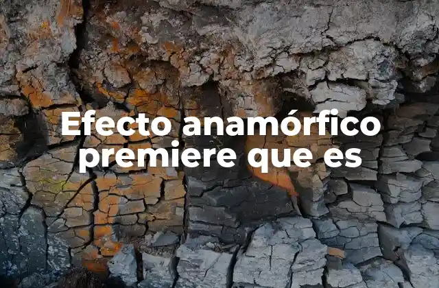 Efecto Anamórfico Premiere que es
