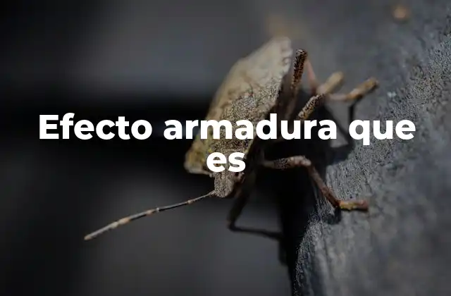 Efecto Armadura que es