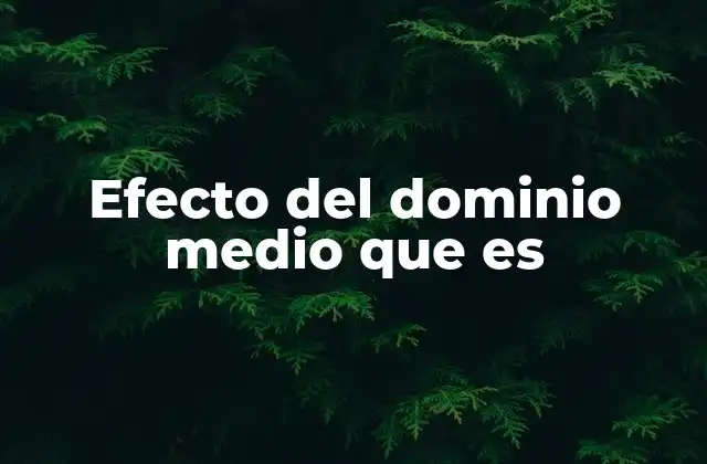 Efecto Del Dominio Medio que es 2 El contexto como factor clave en la toma de decisiones