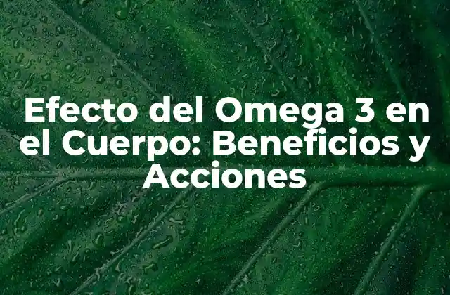Efecto Del Omega 3 en el Cuerpo: Beneficios y Acciones