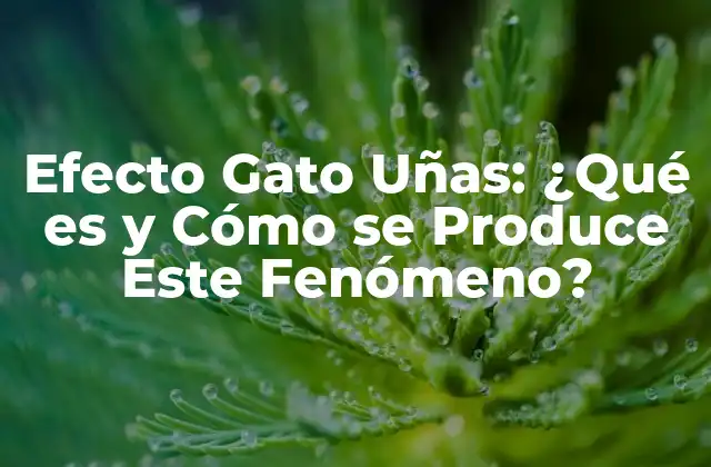 ¿Qué es el Efecto Gato Uñas?