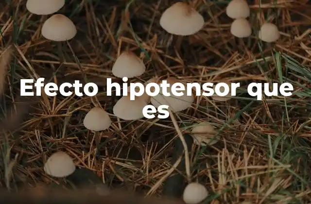 Efecto Hipotensor que es