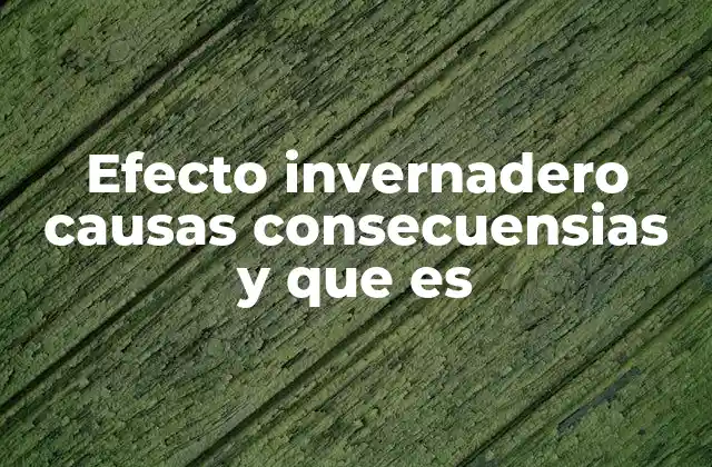 Efecto Invernadero Causas Consecuensias y que es