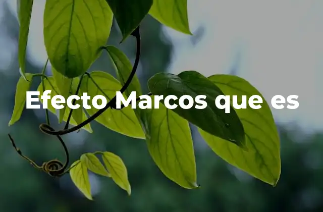 Efecto Marcos que es