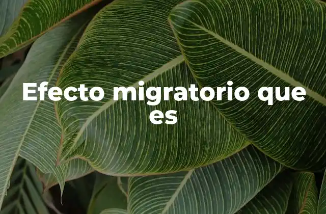 Efecto Migratorio que es
