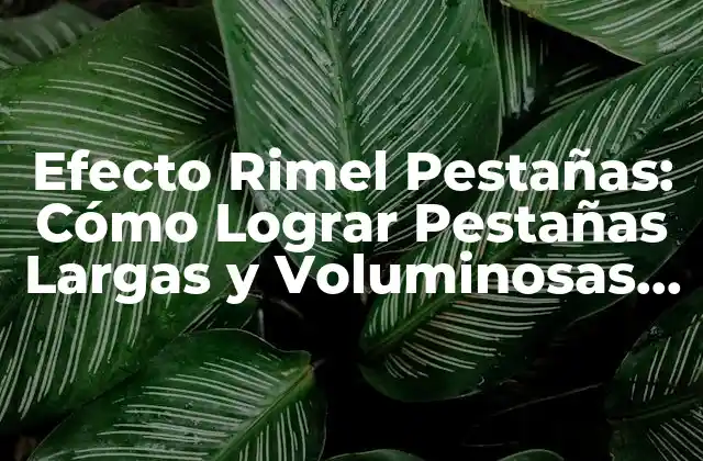 Efecto Rimel Pestañas: Cómo Lograr Pestañas Largas y Voluminosas de Forma Natural