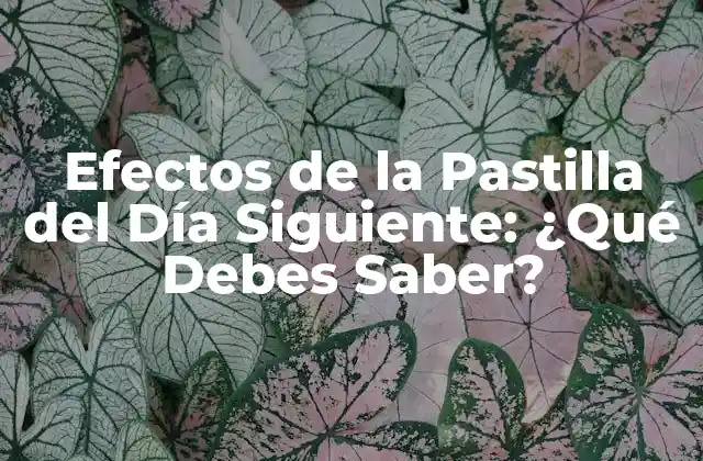 Efectos de la Pastilla Del Día Siguiente: ¿qué Debes Saber?