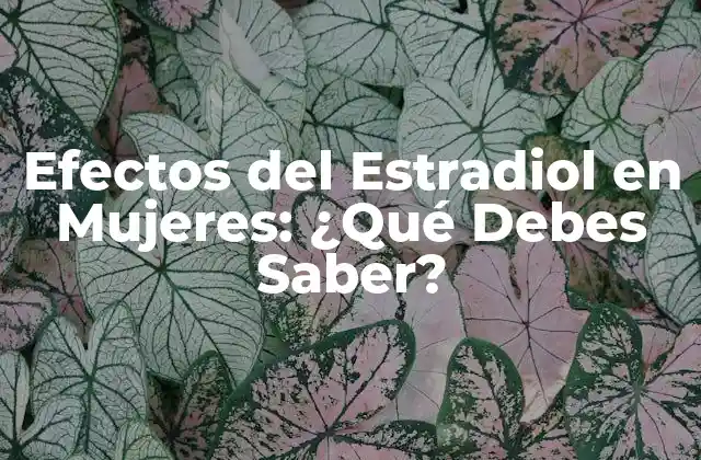Efectos Del Estradiol en Mujeres: ¿qué Debes Saber? 2 Funciones del Estradiol en el Cuerpo de las Mujeres