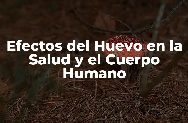 Efectos Del Huevo en la Salud y el Cuerpo Humano