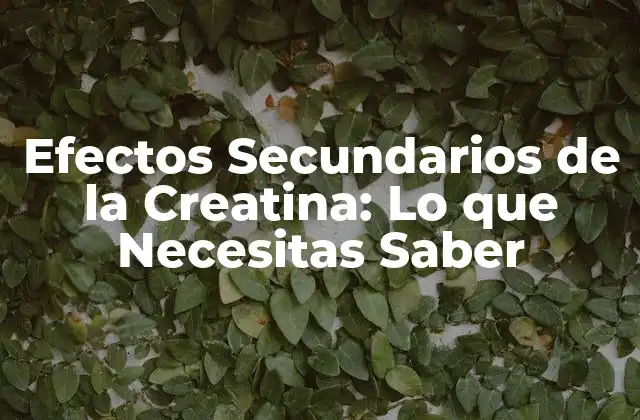 Efectos Secundarios de la Creatina: Lo que Necesitas Saber