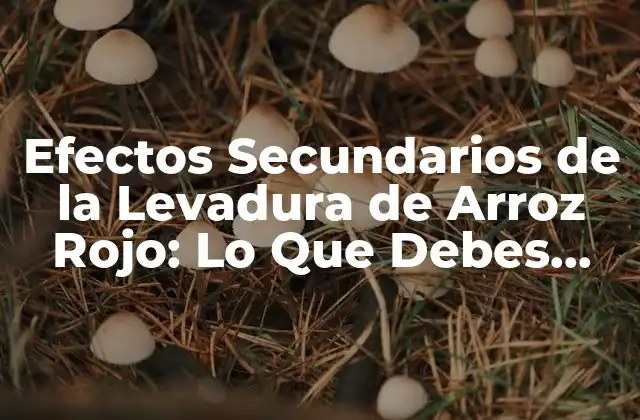 Efectos Secundarios de la Levadura de Arroz Rojo: Lo que Debes Saber