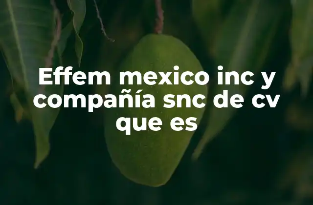Effem Mexico Inc y Compañía Snc de Cv que es