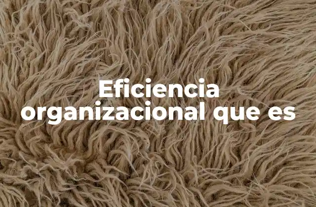 Eficiencia Organizacional que es