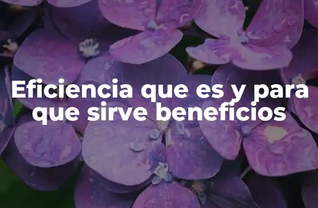 Eficiencia que es y para que Sirve Beneficios