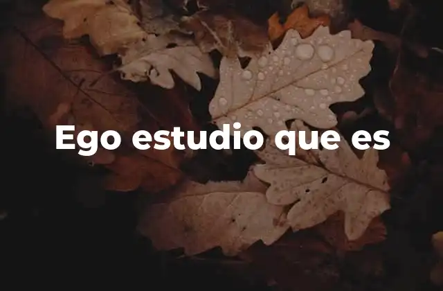 Ego Estudio que es