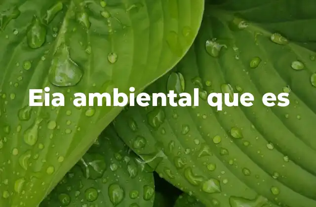 Eia Ambiental que es