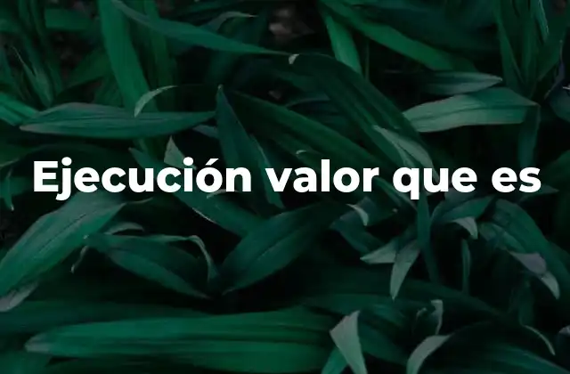 Ejecución Valor que es